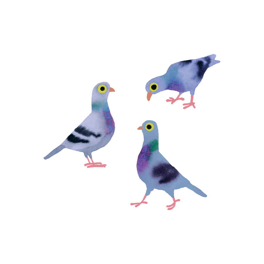 Tattoo: Pigeons