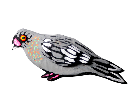New York City Pigeon