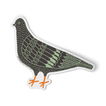 Pigeon Sticker