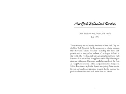 Nueva York: Un diario de viaje para colorear