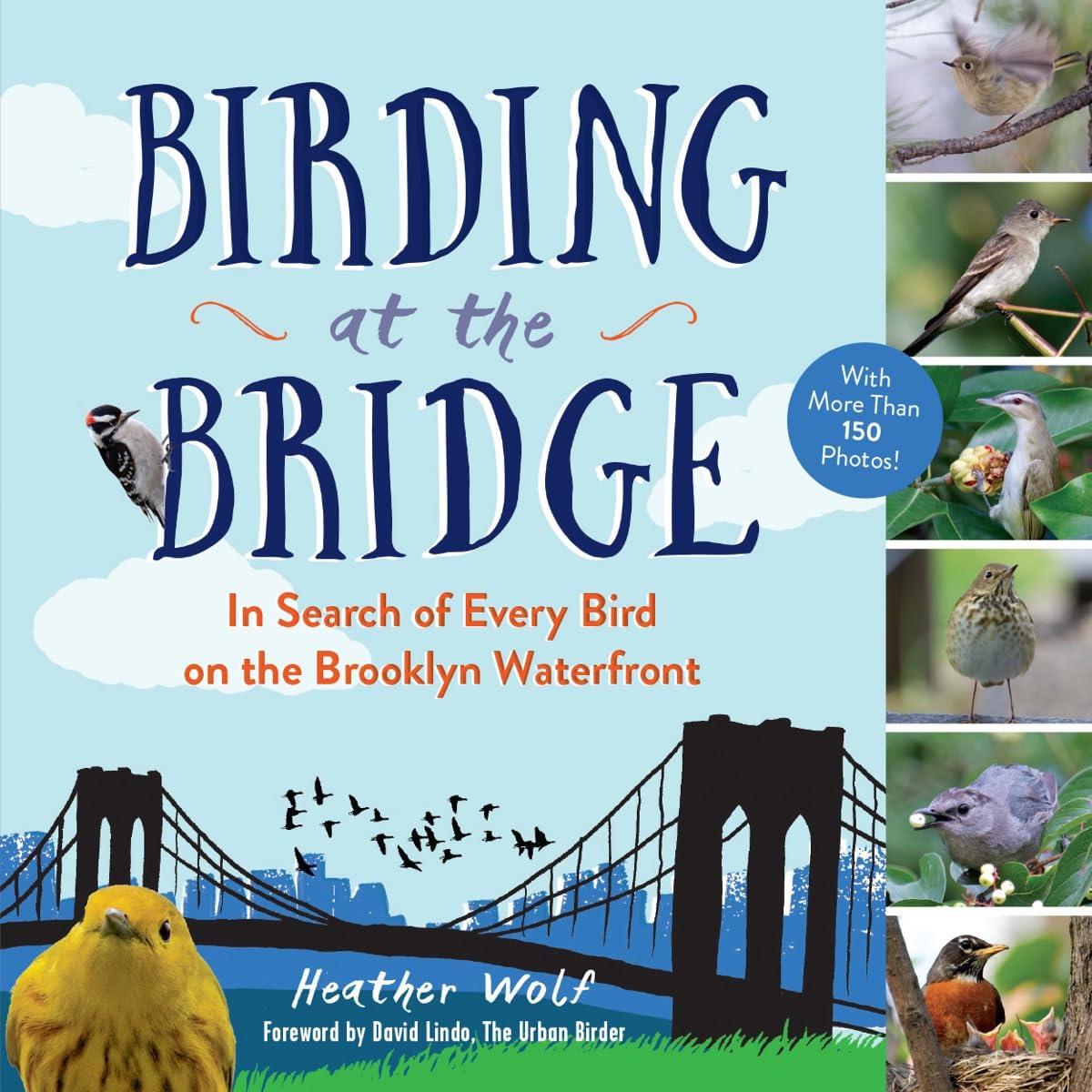Book cover of 'Birding at the Bridge' with images of birds and a bridge.