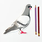 Giant Pigeon Sticker