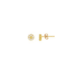 Earrings: Daisy Crystal Stud