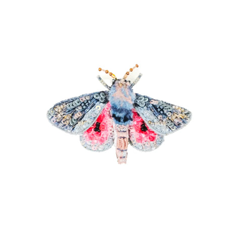 Hubbard's Small Silk Moth Brooch