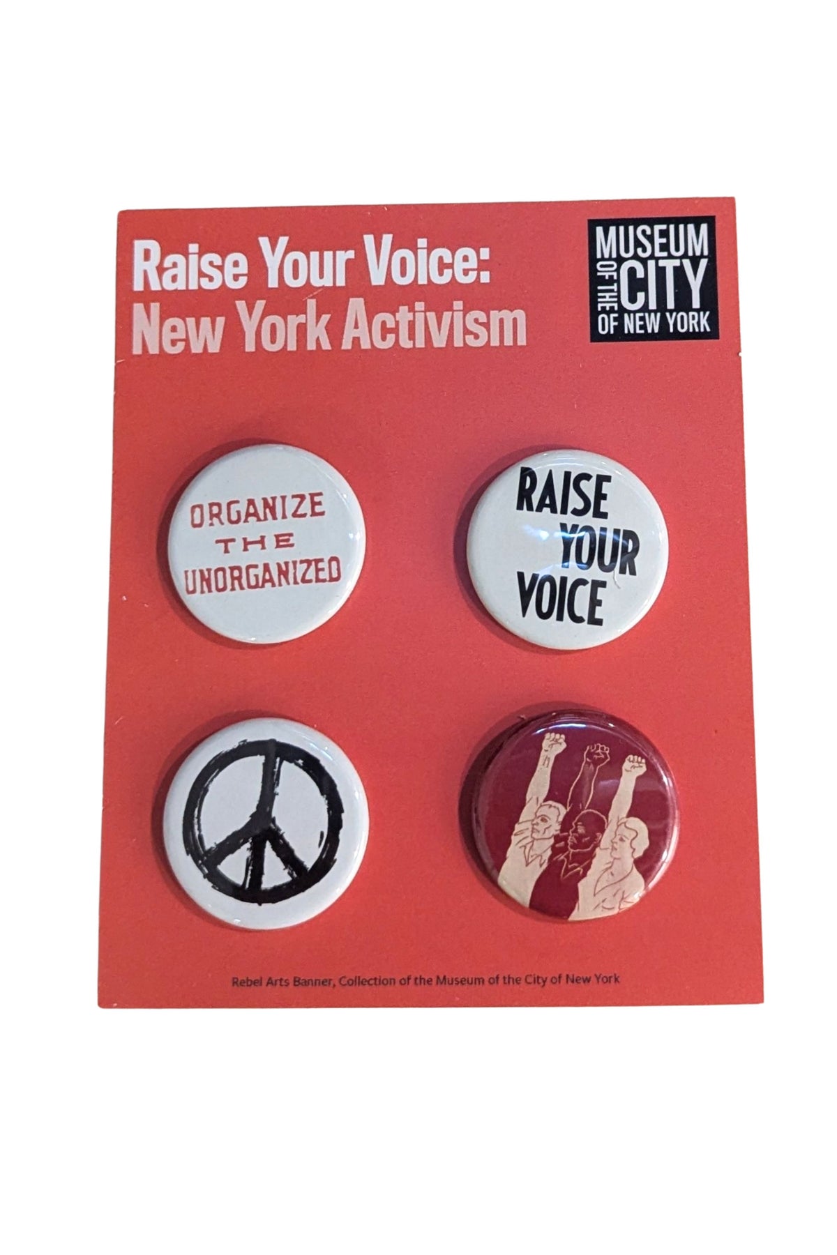 Raise Your Voice: New York Activism Button Pack