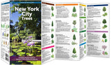 New York City Trees: A Folding Pocket Guide to Familiar Trees