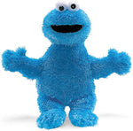 Cookie Monster Plush Toy (12 in)