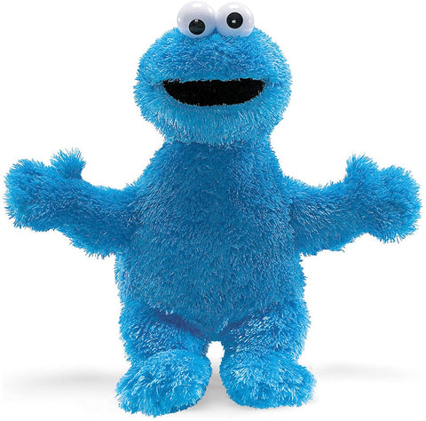 Cookie Monster Plush Toy (12 in)