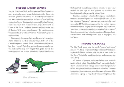This page explores the evolution of pigeons and is divided into two sections titled “Pigeons Are Dinosaurs” and “Pigeons Are Doves.” At the bottom left, a graphic shows a gray pigeon next to a bold black equals sign, which leads to an image of a bright green dinosaur, visually linking pigeons to their ancient origins.