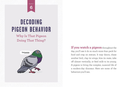 The page labeled “Part 6” from the book Decoding Pigeon Behavior shows an illustration of a gray pigeon with a speech bubble saying “heyyy.” To the right, the page presents a written explanation describing different aspects of pigeon behavior.