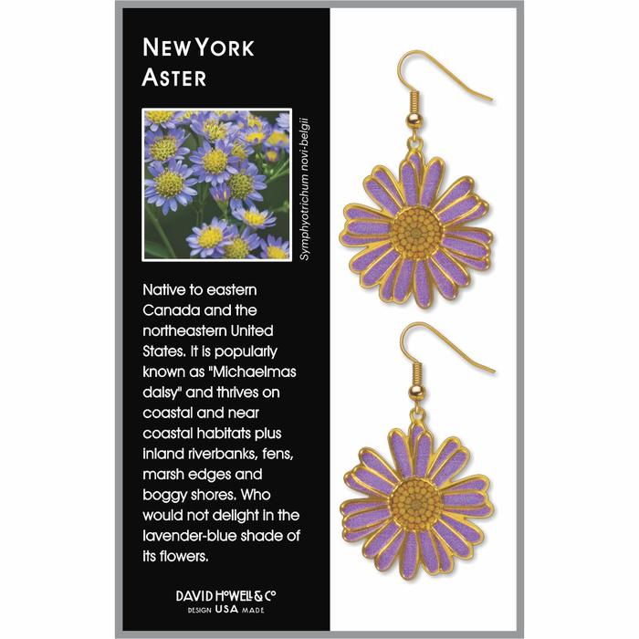 Pendientes: New York Aster