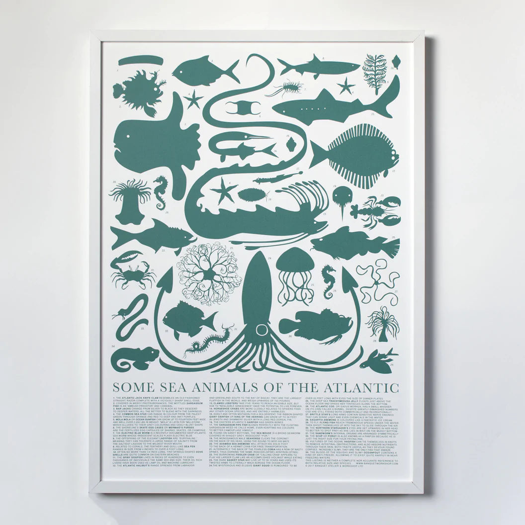 Some Sea Animals of the Atlantic Screenprint