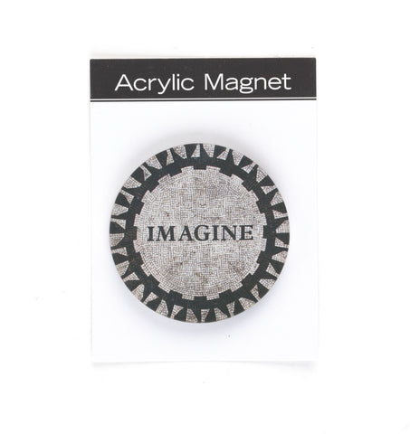 Imagine Plexi Magnet