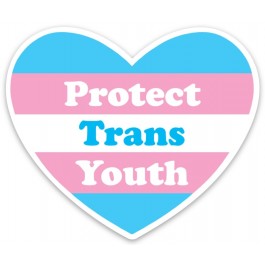 Calcomanía Protejamos a la Juventud Trans